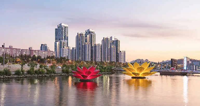 Explore the Wonders of South Korea!!